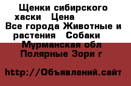 Щенки сибирского хаски › Цена ­ 12 000 - Все города Животные и растения » Собаки   . Мурманская обл.,Полярные Зори г.